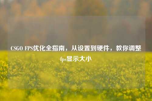 CSGO FPS优化全指南，从设置到硬件，教你调整fps显示大小