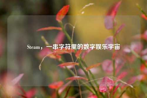 Steam，一串字符里的数字娱乐宇宙