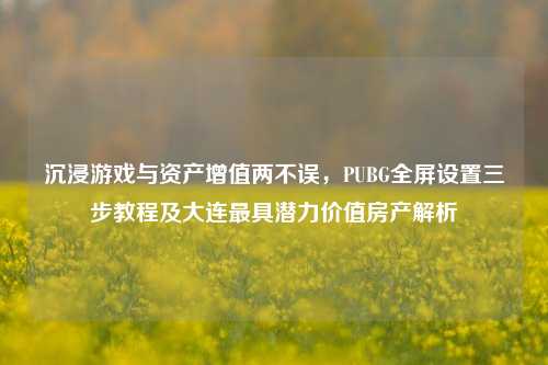 沉浸游戏与资产增值两不误，PUBG全屏设置三步教程及大连最具潜力价值房产解析