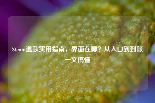Steam退款实用指南，界面在哪？从入口到到账一文搞懂