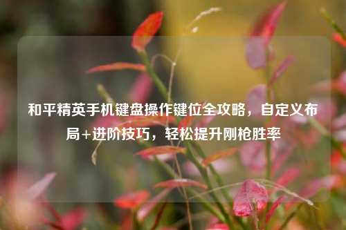 和平精英手机键盘操作键位全攻略，自定义布局+进阶技巧，轻松提升刚枪胜率