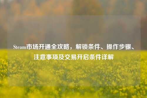 Steam市场开通全攻略，解锁条件、操作步骤、注意事项及交易开启条件详解