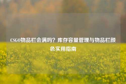 CSGO物品栏会满吗？库存容量管理与物品栏颜色实用指南
