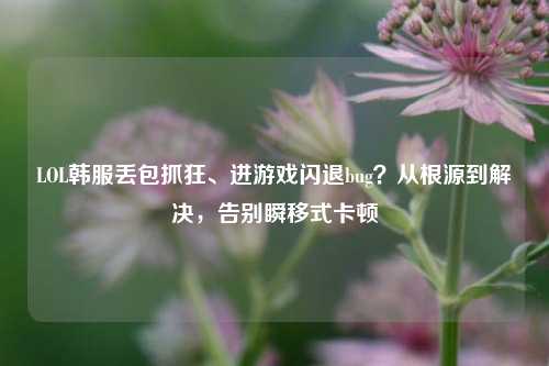 LOL韩服丢包抓狂、进游戏闪退bug？从根源到解决，告别瞬移式卡顿