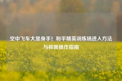 空中飞车大显身手！和平精英训练场进入方法与极限操作指南