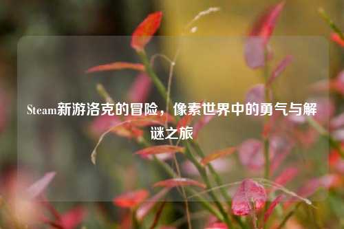Steam新游洛克的冒险，像素世界中的勇气与解谜之旅