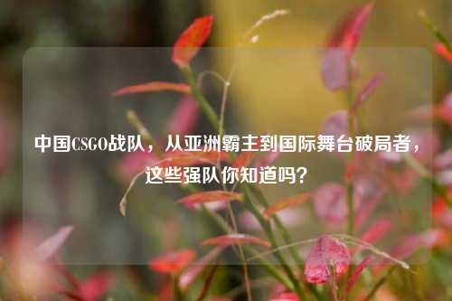 中国CSGO战队，从亚洲霸主到国际舞台破局者，这些强队你知道吗？