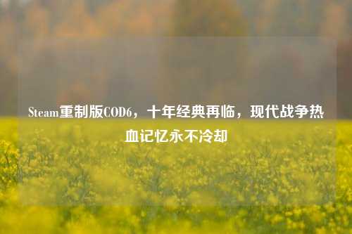 Steam重制版COD6，十年经典再临，现代战争热血记忆永不冷却
