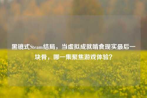 黑镜式Steam结局,当虚拟成就啃食现实最后一块骨,哪一集聚焦游戏体验?