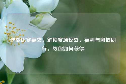 逆战比赛福袋，解锁赛场惊喜，福利与激情同行，教你如何获得