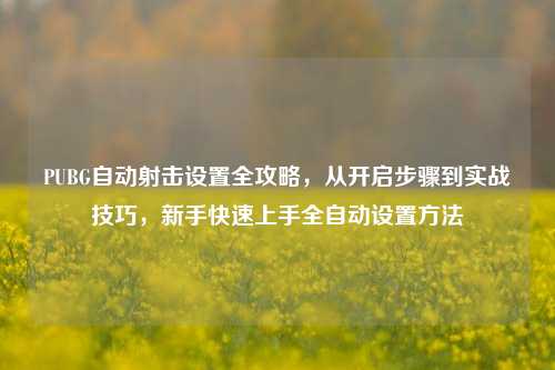 PUBG自动射击设置全攻略，从开启步骤到实战技巧，新手快速上手全自动设置方法