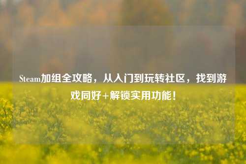 Steam加组全攻略，从入门到玩转社区，找到游戏同好+解锁实用功能！