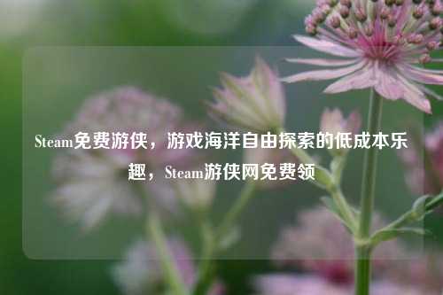 Steam免费游侠，游戏海洋自由探索的低成本乐趣，Steam游侠网免费领