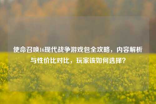 使命召唤16现代战争游戏包全攻略，内容解析与性价比对比，玩家该如何选择？
