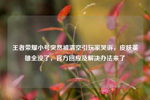 王者荣耀小号突然被清空引玩家哭诉，皮肤英雄全没了，官方回应及解决办法来了