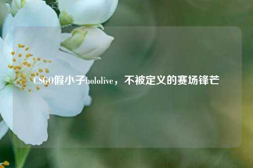 CSGO假小子hololive，不被定义的赛场锋芒