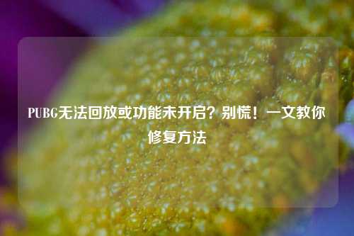 PUBG无法回放或功能未开启？别慌！一文教你修复方法