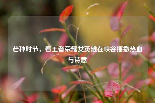 芒种时节，看王者荣耀女英雄在峡谷播撒热血与诗意