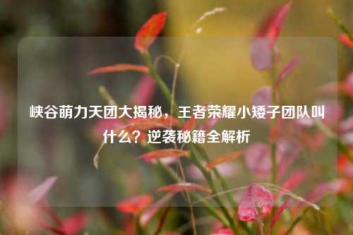 峡谷萌力天团大揭秘，王者荣耀小矮子团队叫什么？逆袭秘籍全解析