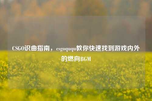 CSGO识曲指南，csgoququ教你快速找到游戏内外的燃向BGM