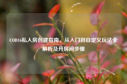 COD16私人房创建指南，从入门到自定义玩法全解析及开房间步骤