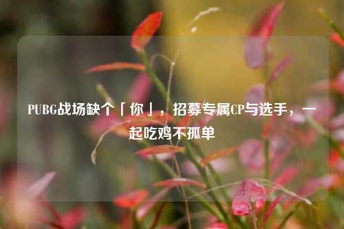 PUBG战场缺个「你」，招募专属CP与选手，一起吃鸡不孤单