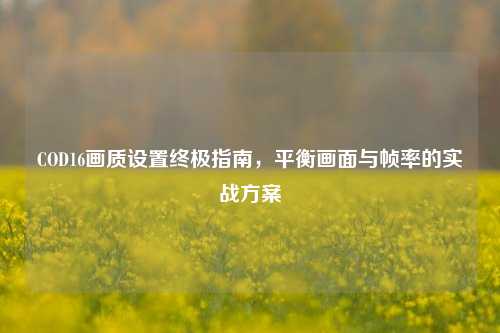 COD16画质设置终极指南，平衡画面与帧率的实战方案