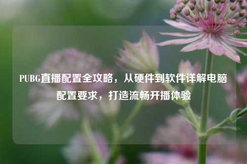 PUBG直播配置全攻略，从硬件到软件详解电脑配置要求，打造流畅开播体验