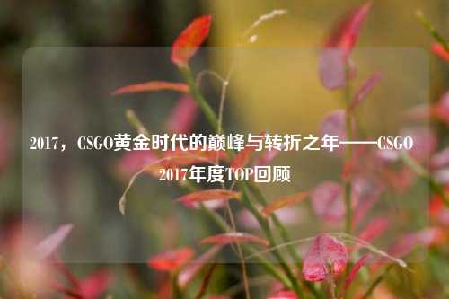 2017，CSGO黄金时代的巅峰与转折之年——CSGO 2017年度TOP回顾