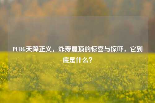 PUBG天降正义，炸穿屋顶的惊喜与惊吓，它到底是什么？