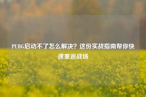 PUBG启动不了怎么解决?这份实战指南帮你快速重返战场