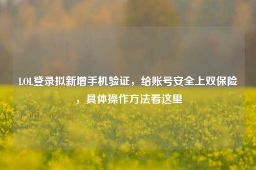 LOL登录拟新增手机验证，给账号安全上双保险，具体操作方法看这里