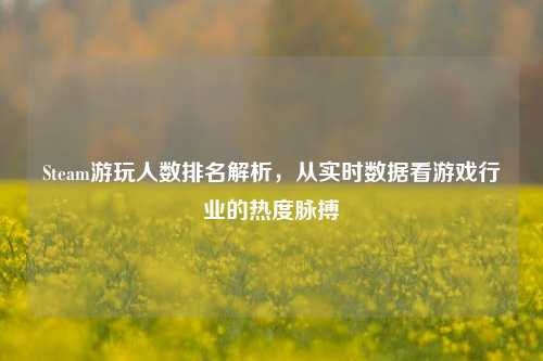 Steam游玩人数排名解析，从实时数据看游戏行业的热度脉搏