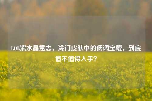 LOL紫水晶意志，冷门皮肤中的低调宝藏，到底值不值得入手？