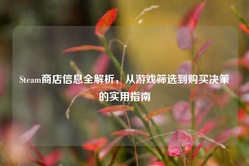 Steam商店信息全解析，从游戏筛选到购买决策的实用指南