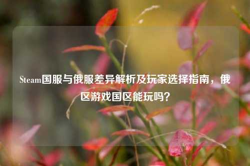Steam国服与俄服差异解析及玩家选择指南，俄区游戏国区能玩吗？