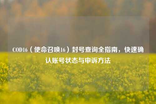 COD16（使命召唤16）封号查询全指南，快速确认账号状态与申诉方法