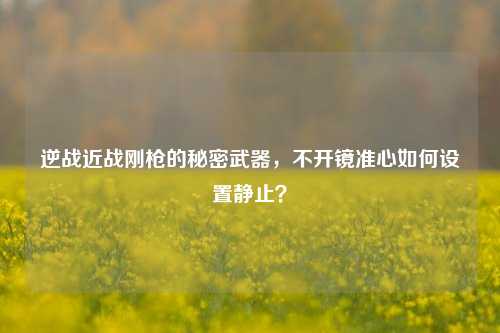 逆战近战刚枪的秘密武器，不开镜准心如何设置静止？