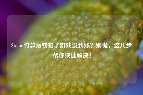 Steam付款后钱扣了游戏没到账？别慌，这几步帮你快速解决！