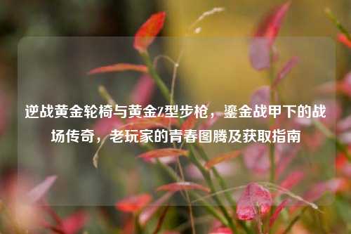 逆战黄金轮椅与黄金Z型步枪，鎏金战甲下的战场传奇，老玩家的青春图腾及获取指南