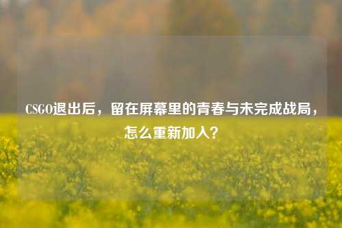 CSGO退出后，留在屏幕里的青春与未完成战局，怎么重新加入？