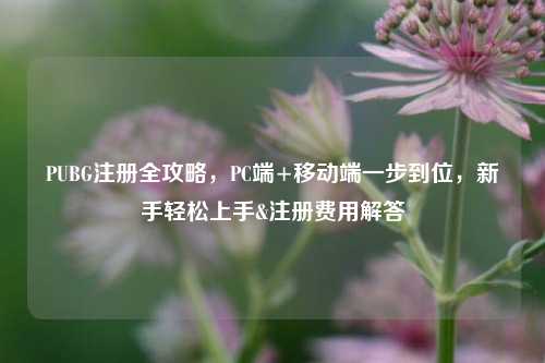 PUBG注册全攻略，PC端+移动端一步到位，新手轻松上手&注册费用解答