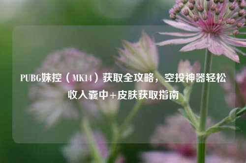 PUBG妹控（MK14）获取全攻略，空投神器轻松收入囊中+皮肤获取指南