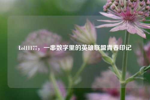 Lol11177，一串数字里的英雄联盟青春印记