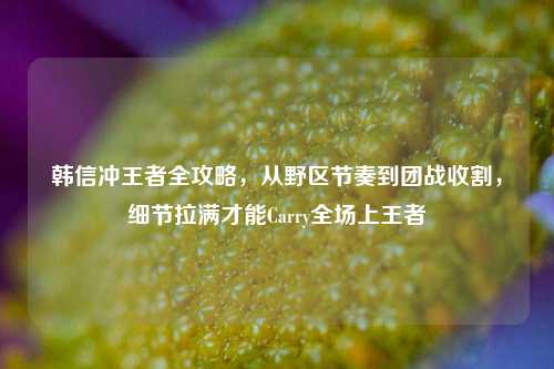 韩信冲王者全攻略，从野区节奏到团战收割，细节拉满才能Carry全场上王者