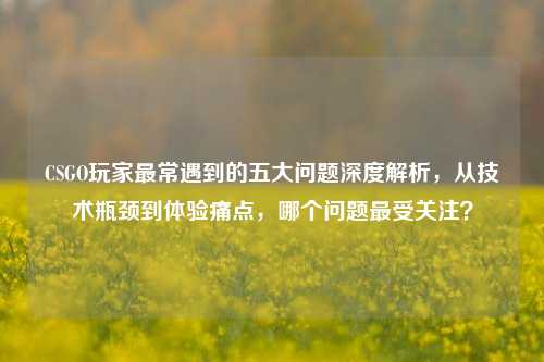 CSGO玩家最常遇到的五大问题深度解析，从技术瓶颈到体验痛点，哪个问题最受关注？