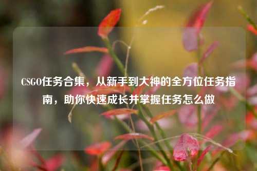CSGO任务合集，从新手到大神的全方位任务指南，助你快速成长并掌握任务怎么做
