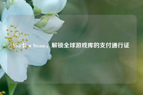 Visa卡×Steam，解锁全球游戏库的支付通行证