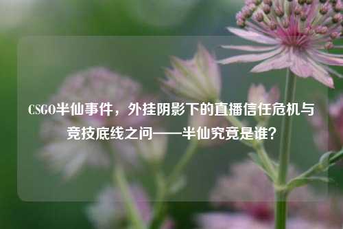 CSGO半仙事件，外挂阴影下的直播信任危机与竞技底线之问——半仙究竟是谁？