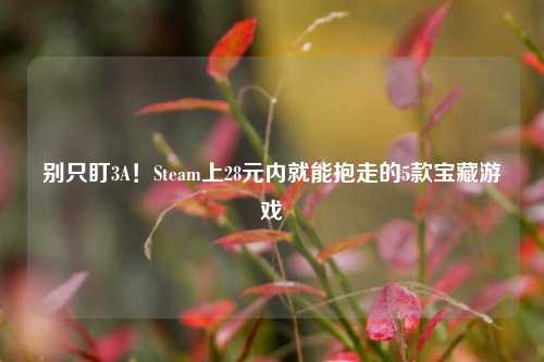 别只盯3A！Steam上28元内就能抱走的5款宝藏游戏